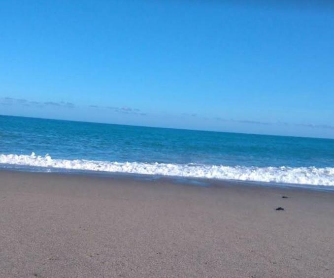 Raffaello Beach Apartment - 50 M From The Sea - Wifi Савона Экстерьер фото